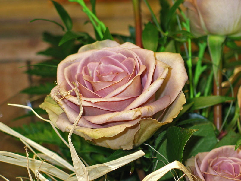 happy, top view, plant, beautiful, romance, outdoors, congratulations, no People, connectedness, petal, greeting, wedding day, nature, relationship, pink