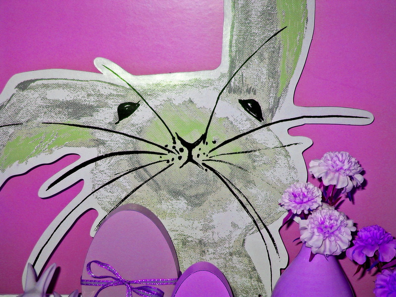 1080P, easter decorations, bunny, custom, animal wildlife, animal wing, shoe, insect, sweet, high angle view, invertebrate, day, healthcare and medicine