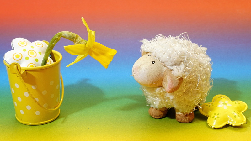 color, funny, texture, decoration, joy, cute, bird, mammal, nature, finance, play, marvel, mood, yellow, no people, lamb, 5K, figurine, spring greeting