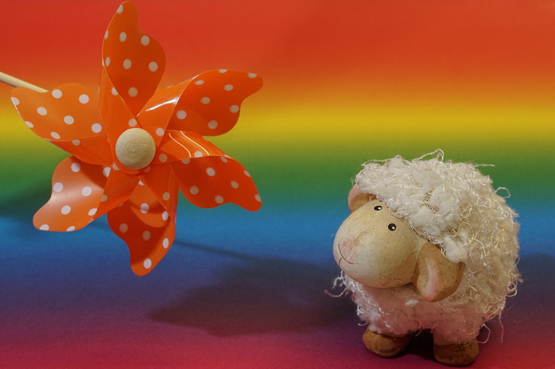 representation, sweet, little lamb, lighting, modern, colorful, animal representation, indoors, pinwheel, no people, creativity, mammal, background, cheerful