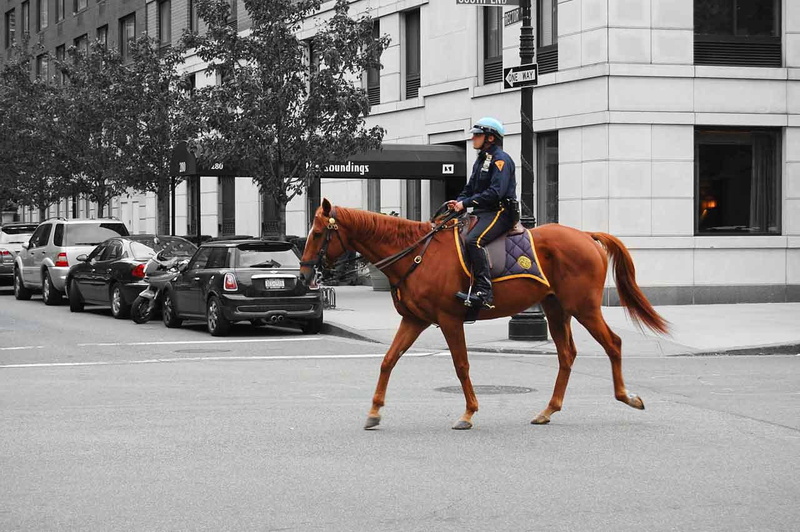 manhattan, one animal, Policeman, outdoors, pets, real people, built structure, horse, mode of transportation, motor vehicle, street, riding, bobby, mammal