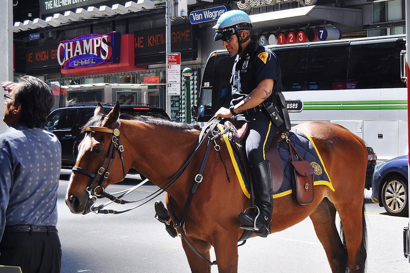 man, mammal, animal wildlife, 2K, Uniform, adult, Police, horseback riding, government, herbivorous, domestic animals, real people, animal, Police, police officer