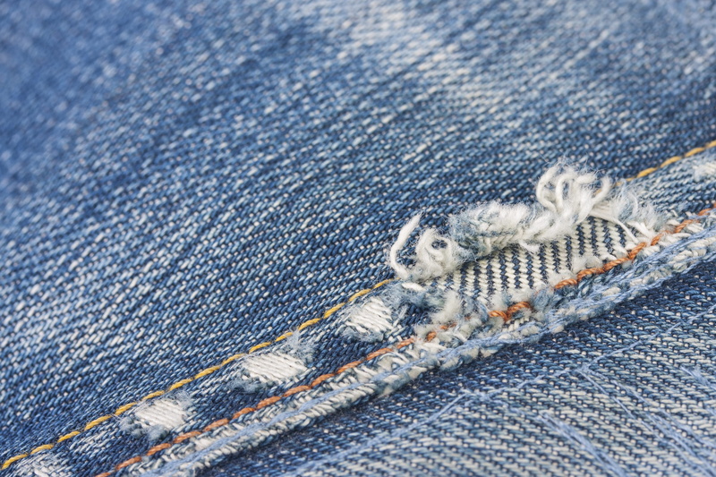 fashion shoot, color image, photo, pattern, decor, pocket, sewing, animal, background, close-up, studio, feline, nobody, blue, pets, domestic animals, composition