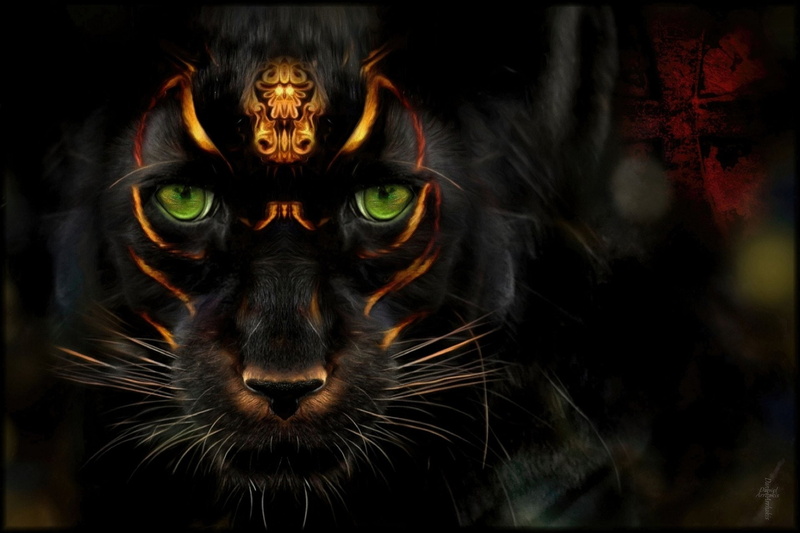 close-up, no people, black background, one animal, 1080P, animal eye, front view, Green Eyes, Animal, whisker, mouth open, fear, animal body part, spooky