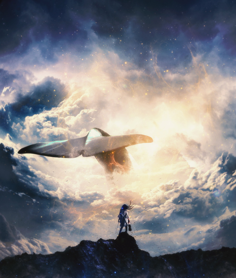 whale, clouds, activity, nature, sunrise - Dawn, tail, jumping, real people, freedom, fun, dramatic Sky, rod, flying, blue, back Lit, recreational Pursuit