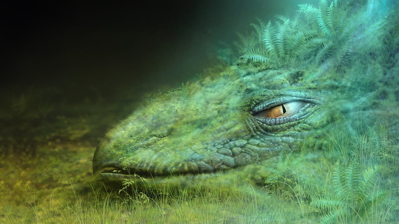 mouth open, forest, crocodilian reptile, plant, one animal, vertebrate, park, african crocodile, animal body part, nature, field, green color, day, selective focus