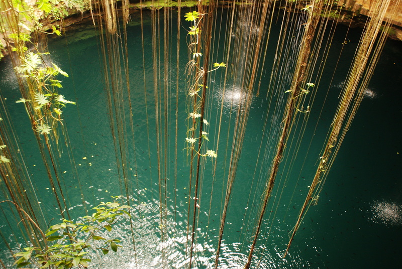 brook, 4K, water, outdoor, river, fresh, waterfall, park, no people, asia, green color, outdoors, nature, relax, growth, cool, beauty in nature, lake