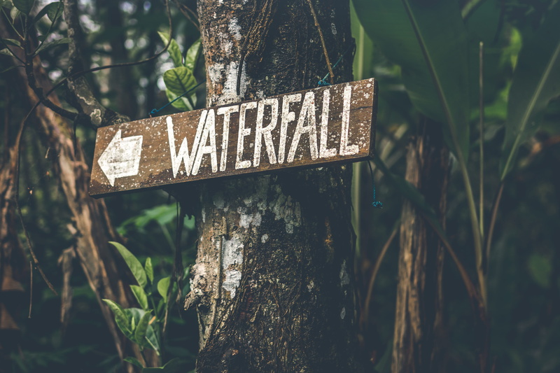 park, asia, beautiful, placed, message, forest, brown, fresh, guidance, information sign, bark, rock, jungle, scenery, waterfall, road, enjoy, close-up