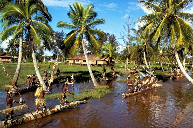 relaxation, sky, sea, tropical tree, boats, palm trees, tranquility, palm Tree, natives, tree, tourist Resort, cultures, beauty in nature, blue, river