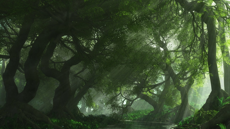 tranquil scene, scenics - nature, tree trunk, no people, sunlight, plant, growth, outdoors, widescreen nature 2560x1440, land, trunk, 2K, day, branch