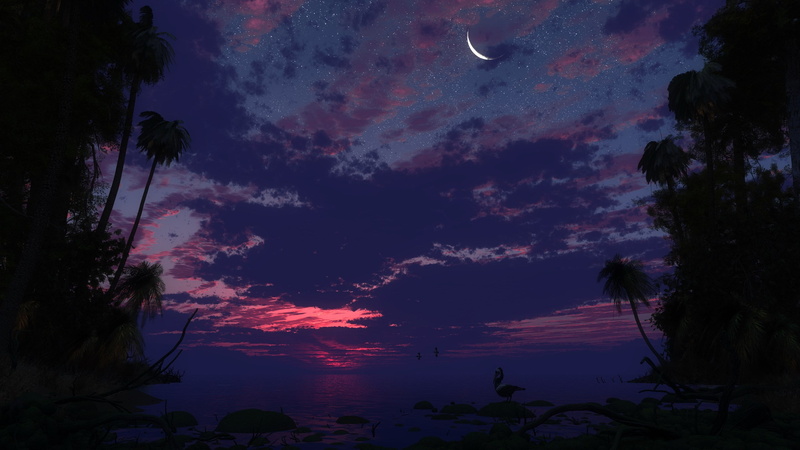 palm tree, tree, outdoors, astronomy, nature, no people, tranquil scene, cloud - sky, plant, scenics - nature, tranquility, silhouette, sky, widescreen nature 2560x1440