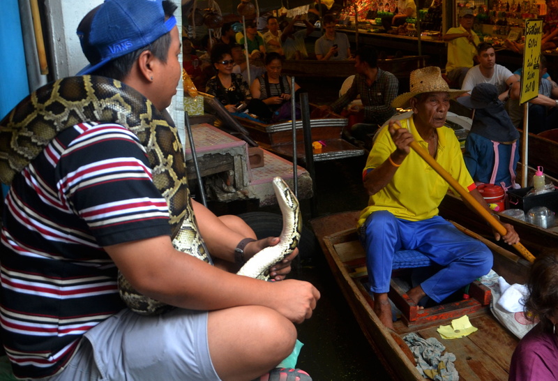 cold, cooperation, wild, coldblooded, scales, adult, constrictor, serpent, working, pet, occupation, boa, tropical, man, real people, reptilian, boats