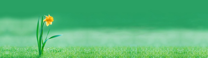 panoramic, 4K, owdlarrd, 3840x1080