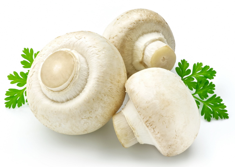 gourmet, raw Food, organic, edible Mushroom, no People, plant, healthy Eating, close-up, cooking, gray, herbs, ingredient, leaf, eating, dieting, single Object