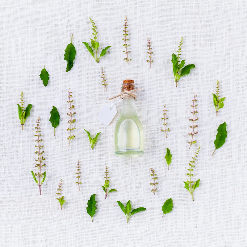 2K, green, nature, studio shot, bottle, oil, vegetarian food, knolling - concept, food and drink, no people, green Color, food, plant part, high angle view