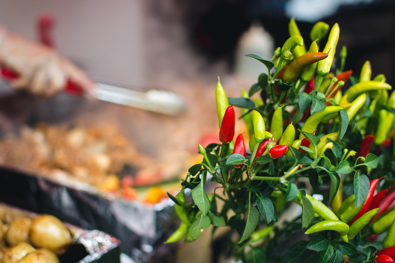 food and drink, chili pepper, chilli, vegetable, pepper, nature, leaf, selective focus, plant part, cooking, freshness, food, focus on foreground, meat