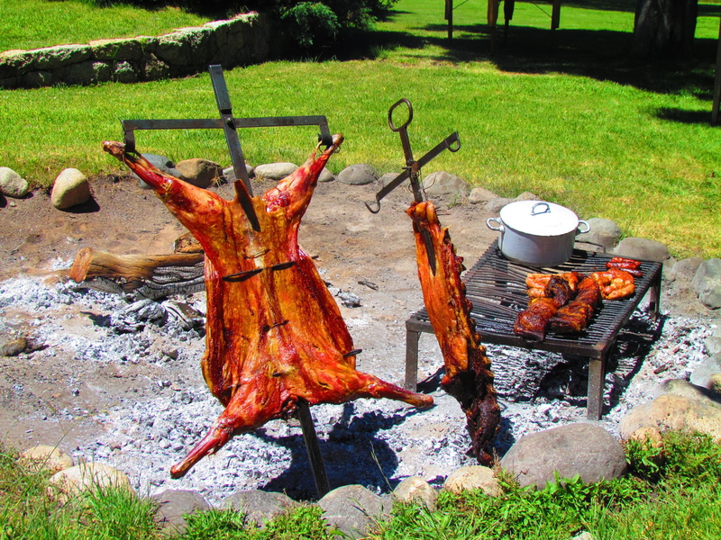grilled, food, absence, fire - Natural Phenomenon, green color, summer, day, fresh, wood - material, fire, roast, plant, heat - Temperature, flame, field