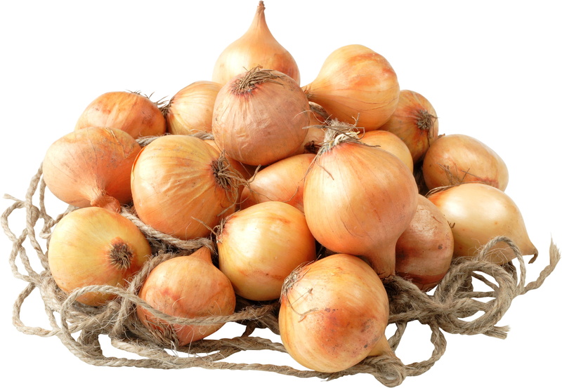 yellow, lot, agriculture, onion, indoors, cut out, studio shot, food And Drink, a lot of, organic, isolated, ripe, wellbeing, healthy Eating, root, 2K