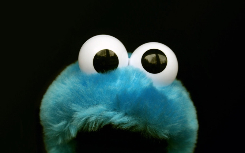domestic animals, eye, Sesame Street, pets, untitled, animal eye, body part, digital composite, studio shot, 720P, no people, close-up, mammal, domestic