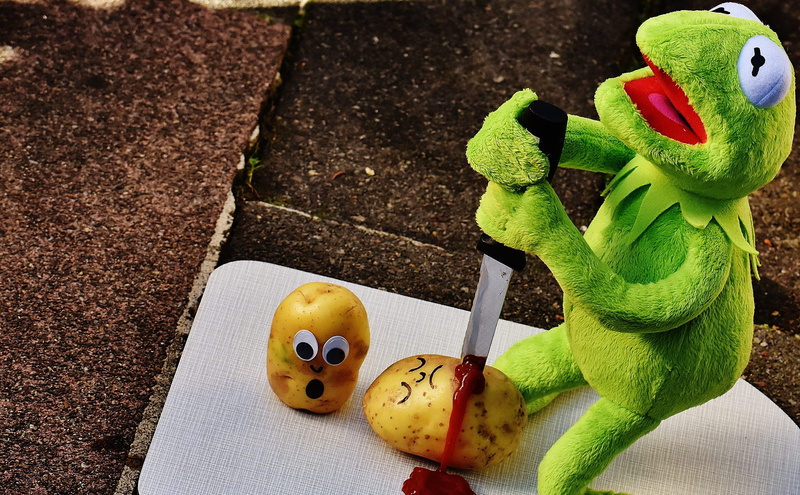 freshness, nature, ketchup, 2K, toy, plush, high angle view, still life, food and drink, close-up, green, day, creativity, cute, representation, human representation