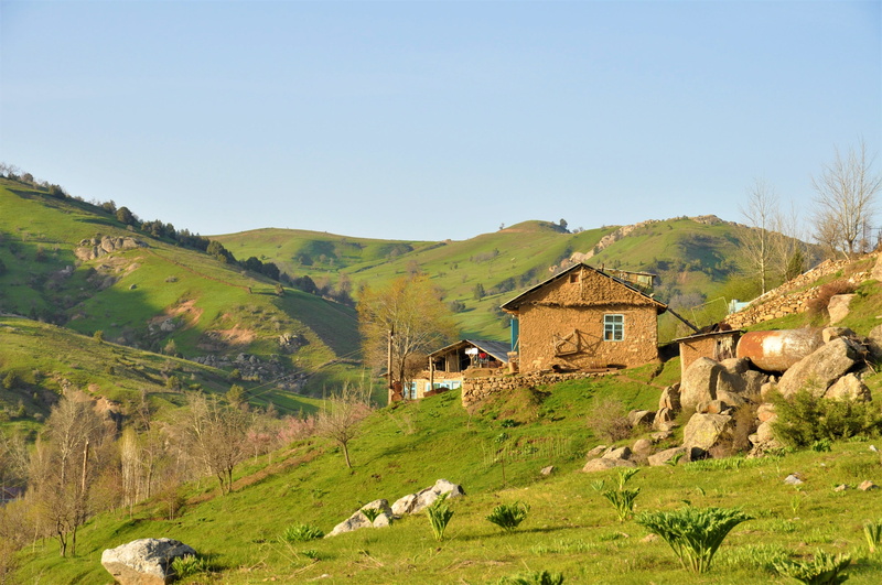 plant, outdoors, environment, central asia, beauty in nature, rural scene, uzbekistan, scenics - nature, land, mountain range, no people, landscape, nature