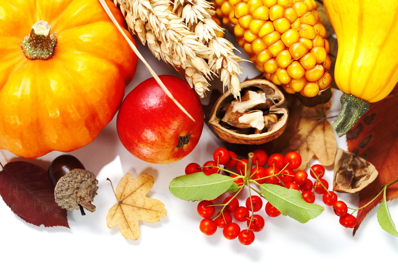 composition, ripe, plant part, tomato, agriculture, red, halloween, variation, still life, vegetarian Food, healthy Eating, freshness, multi Colored, autumn