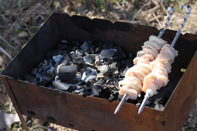 mangal, picnic, shish kebab, skewer, fried meat, barbecue, high angle view, fried, dinner, preparation, chicken kebab, tasty, nature, snack, barbecue grill