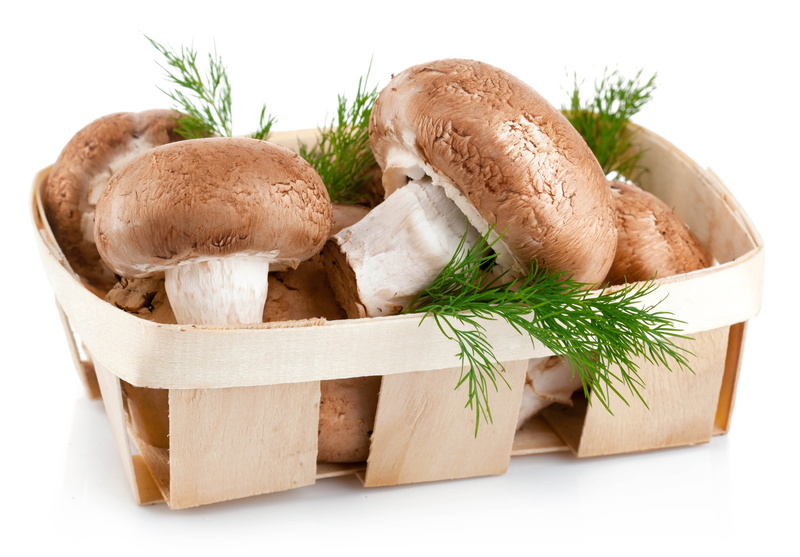 container, bread, brown, isolated On White, box, dieting, eating, 4K, dill, edible Mushroom, cooking, organic, leaf, no People, wood - Material, white