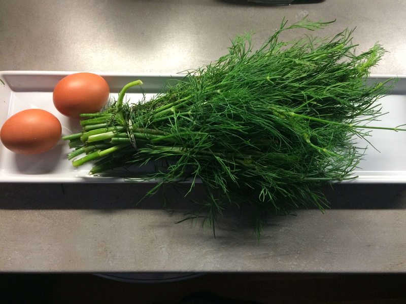 eggs, fruit, vegetable, dill, indoors, tomato, home, food and drink, herb, freshness, wellbeing, plant, raw food, 2K, green color, food, domestic kitchen