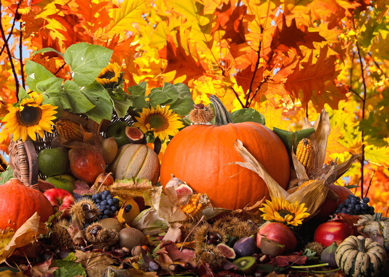plant, figs, apples, 4K, yellow, grapes, maple leaf, winter Squash, orange, november, corn, plant part, celebration, fruit, outdoors, chestnuts, nature