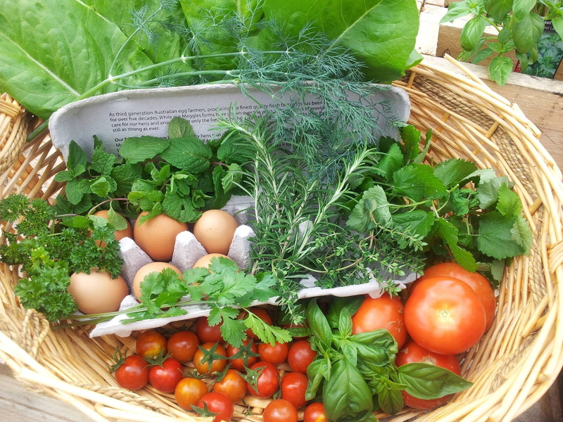 basket, diet, wooden, healthy, fruit, green, weight loss, fresh, tomatoes, raw food, raw, inside, harvest, wellbeing, outdoors, freshness, produce, self-sustainability