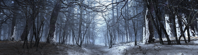 tranquil Scene, scenics - nature, fog, 4K, woodland, digital, light - Natural Phenomenon, tree trunk, mystery, beauty In Nature, outdoors, land