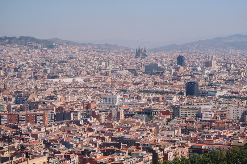 built structure, barcelona, summer, day, building, density, dense, settlement, city life, clear sky, outdoors, spain, high angle view, nature, tower, building exterior
