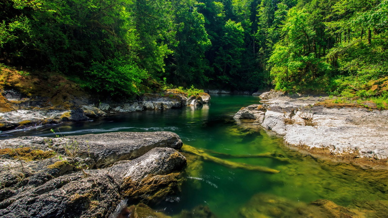 solid, river, rocks, tranquil scene, mountain, landscape, rock - object, rocky, green, tree, plant, day, flowing water, tranquility, nature, power in nature