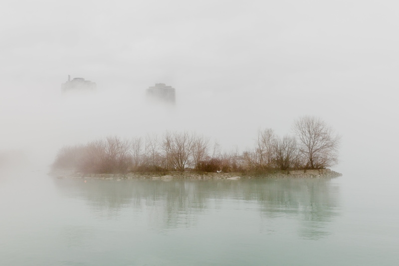 beauty in nature, scene, gloomy, urban, non-urban scene, smog, plant, city, tranquility, hazy, no people, bare tree, covered, lake, view, scenics - nature