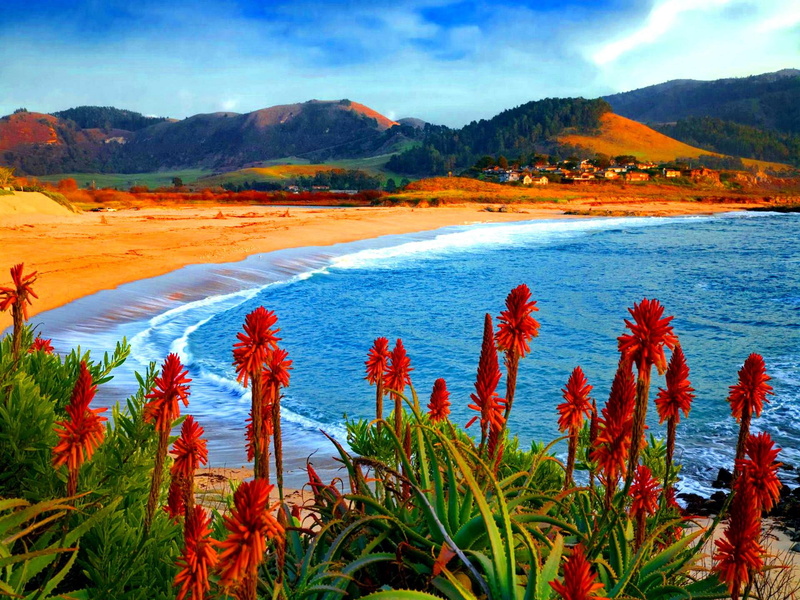 beautiful, house, 1080P, flowers, dense, lake, water, natu, coastal, cottage, red, cabin, village, ocean, heads, shore, clouds