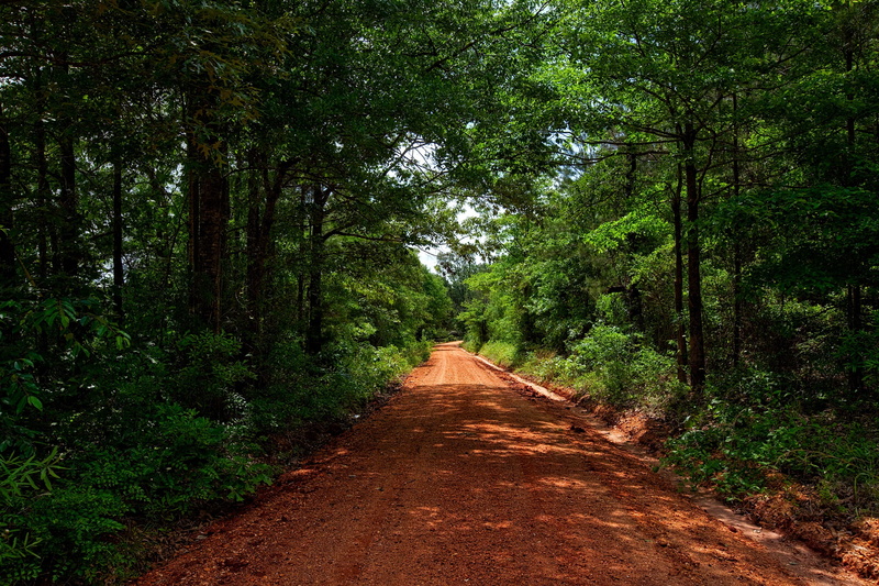 woods, dirt road, rural, brown, non-urban scene, vanishing point, green color, idyllic, muddy, tranquility, nature, tranquil scene, day, beauty in nature