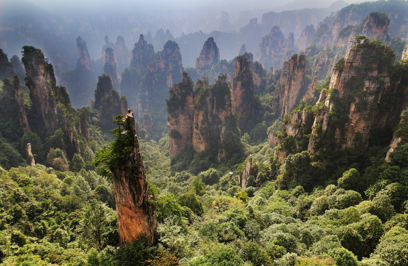 Hunan, Cliff, Forest, Tree, Rock, China, 1080P, Earth