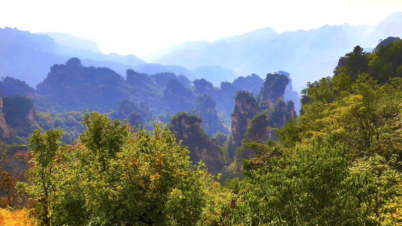 sunlight, trees, nature, forest, sky, park, landscape, mountains, Zhangjiajie National Park, 1080P, China