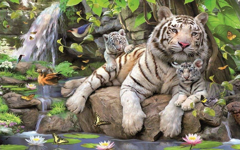 white, two, cubs, 1080P, lotus, hd, jungle, tigress, desktop, waterfall