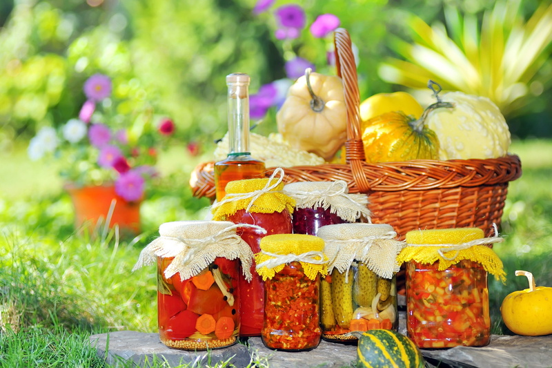 no people, pumpkin, container, green Color, multi Colored, day, cucumber, summer, flowering plant, decoration, gourmet, choice, rural Scene, basket, fruit