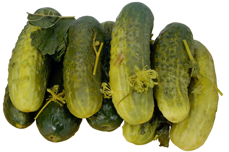 studio shot, group of objects, pickled, green Color, dieting, nature, still life, cucumbers, directly above, green, raw Food, food, no People, gourd, freshness