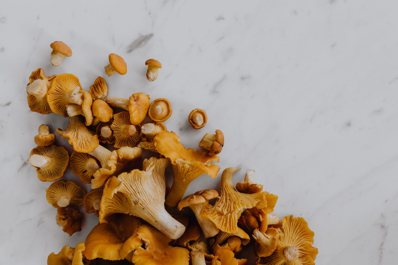 woods, no people, nut - food, autumn, vegetable, close-up, nature, chantarelle, Edible Mushroom, nut, dry, leaves, change, leaf, fungus, food and drink