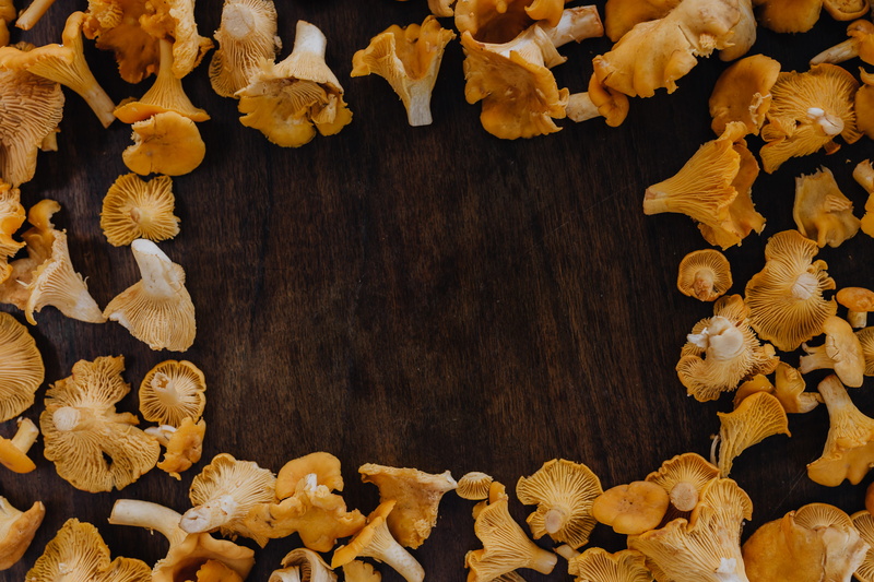 food, plant, woods, no people, digital composite, yellow mushrooms, table, high angle view, Edible Mushroom, vegetable, indoors, dry, mushrooms, pattern
