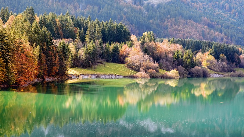 1080P, Natural, Riparian, Forest, Autumn