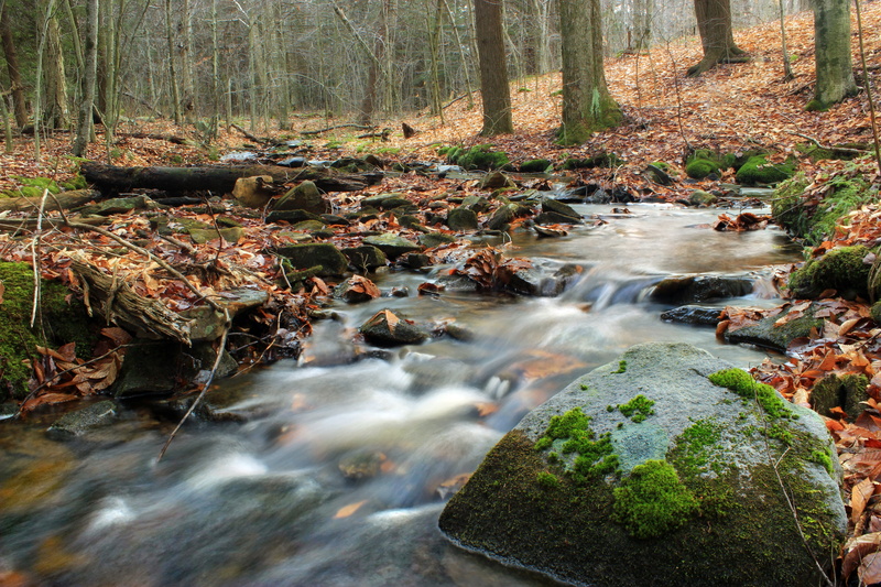 middle, creek, landscape, moss, leaf litter, waterfall, Pennsylvania, cascades, water, Nature Trail, East Branch, 5K, river, scenics, time lapse, trees