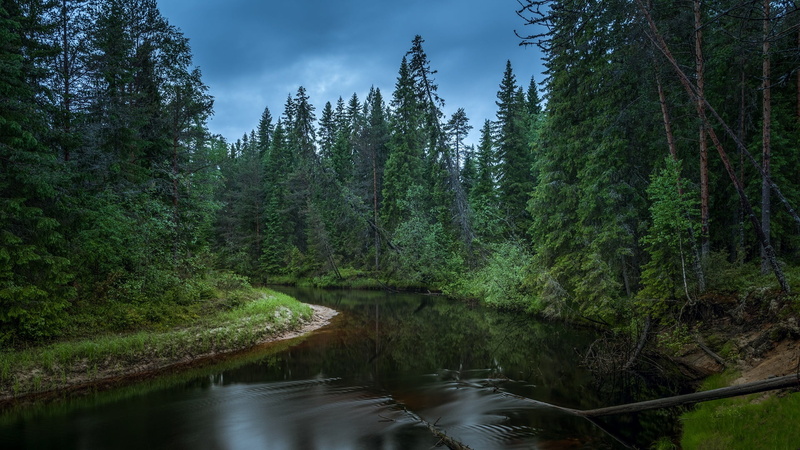 outdoors, scenics - nature, stream - flowing water, green color, wilderness, nature, tranquil scene, non-urban scene, evergreen tree, tree, growth, flowing water