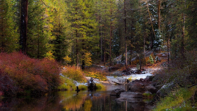 river, idyllic, beauty in nature, autumn collection, tranquility, vegetation, autumn colors, reflection, flowing water, scenics - nature, no people, 1080P