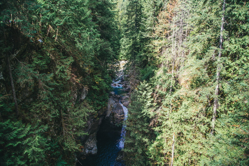 non-urban scene, tributary, lush foliage, forest, day, plant, water, stream, nature, wilderness, 5K, green, water resource, woodland, riparian zone, vegetation