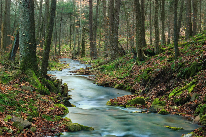 Lycoming County, nature, Hollow, winter, time lapse photography, creative commons, Endless Mountains, Run, river, autumn, palustrine, riparian  forest